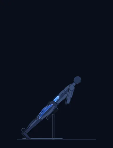 Hyperextensions (Back Extensions), finish position, with the working muscles highlighted