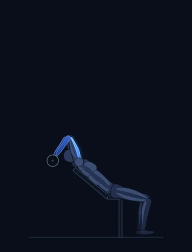 Incline Barbell Triceps Extension, finish position, with the working muscles highlighted