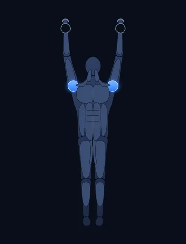 Kettlebell Arnold Press, finish position, with the working muscles highlighted