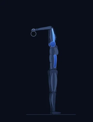 Kettlebell Overhead Triceps Extension, start position, with the working muscles highlighted