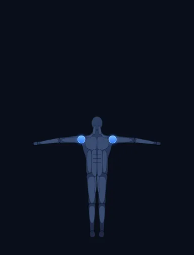 Lateral Raise - With Bands, finish position, with the working muscles highlighted