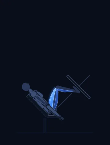 Leg Press, start position, with the working muscles highlighted