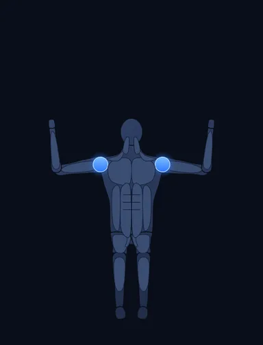 Leverage Shoulder Press, start position, with the working muscles highlighted
