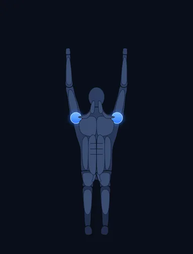 Leverage Shoulder Press, finish position, with the working muscles highlighted