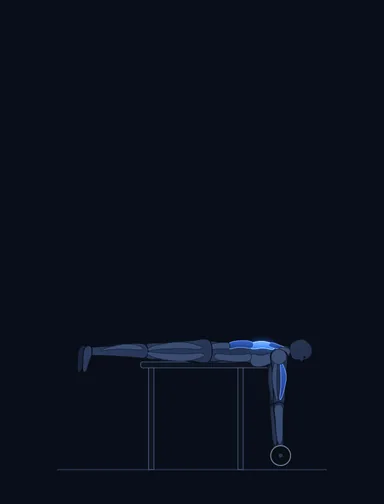 Lying Cambered Barbell Row, start position, with the working muscles highlighted