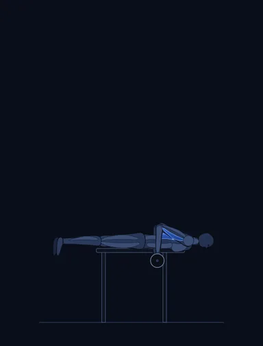 Lying Cambered Barbell Row, finish position, with the working muscles highlighted