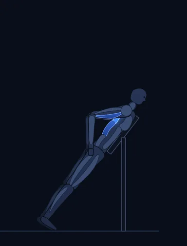 Lying T-Bar Row, finish position, with the working muscles highlighted