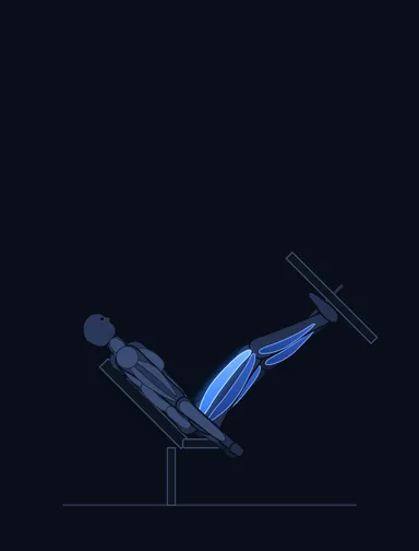 Narrow Stance Leg Press, finish position, with the working muscles highlighted