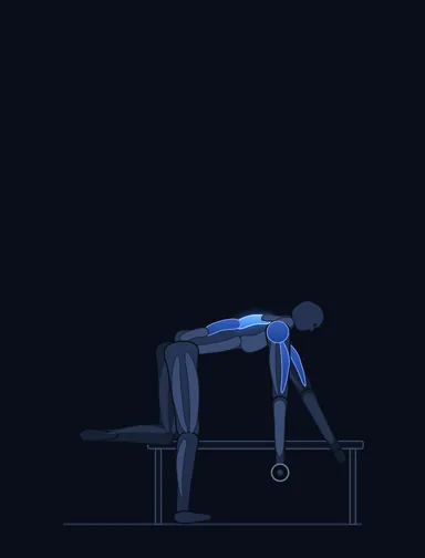 One-Arm Dumbbell Row, start position, with the working muscles highlighted