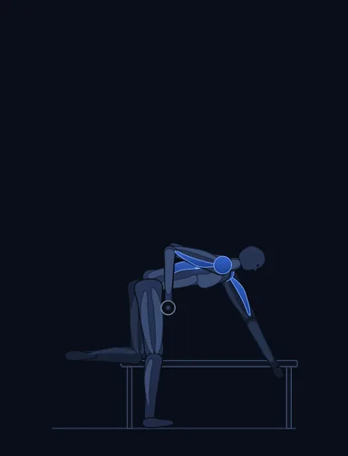 One-Arm Dumbbell Row, finish position, with the working muscles highlighted