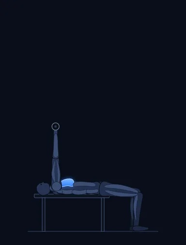 One-Arm Flat Bench Dumbbell Flye, finish position, with the working muscles highlighted
