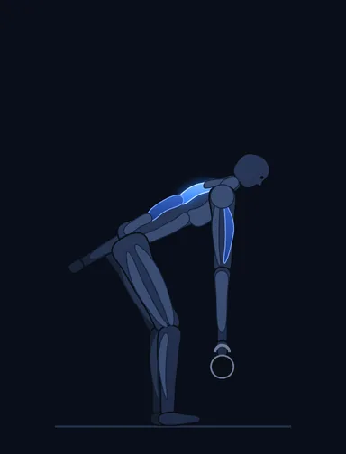One-Arm Kettlebell Row, start position, with the working muscles highlighted