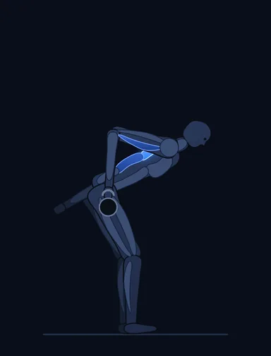 One-Arm Kettlebell Row, finish position, with the working muscles highlighted