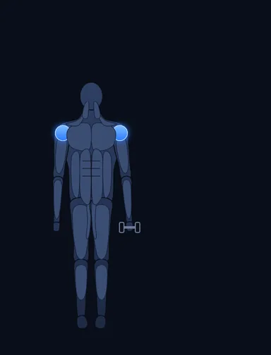One-Arm Side Laterals, start position, with the working muscles highlighted