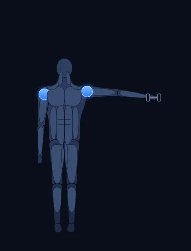 One-Arm Side Laterals, finish position, with the working muscles highlighted