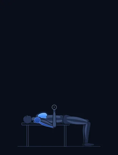One Arm Dumbbell Bench Press, start position, with the working muscles highlighted