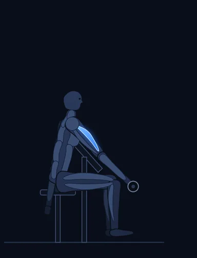 One Arm Dumbbell Preacher Curl, start position, with the working muscles highlighted