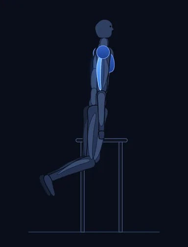 Parallel Bar Dip, start position, with the working muscles highlighted