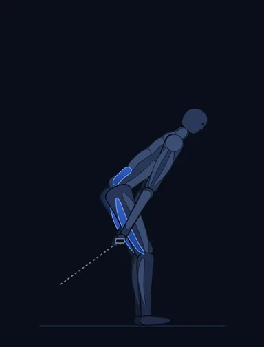 Pull Through, start position, with the working muscles highlighted