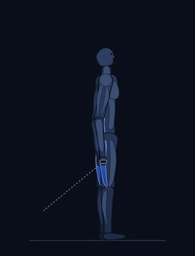 Pull Through, finish position, with the working muscles highlighted
