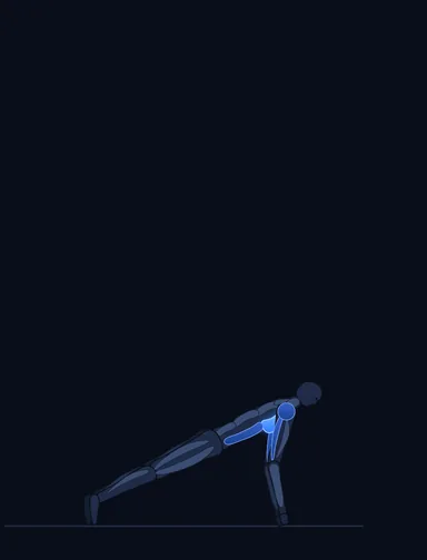 Push-Up Wide, start position, with the working muscles highlighted