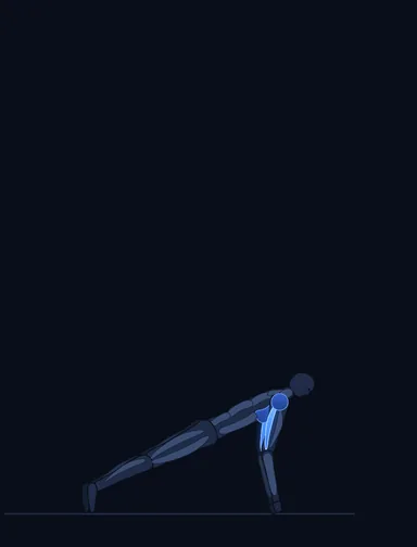 Push-Ups - Close Triceps Position, start position, with the working muscles highlighted