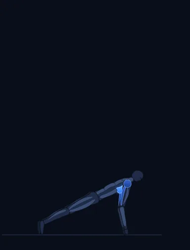 Pushups, start position, with the working muscles highlighted