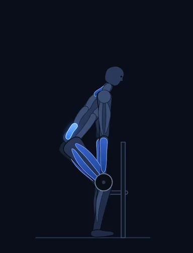 Rack Pull with Bands, start position, with the working muscles highlighted