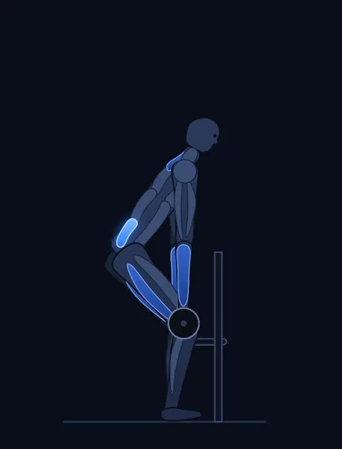 Rack Pulls, start position, with the working muscles highlighted