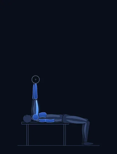 Reverse Band Bench Press, finish position, with the working muscles highlighted