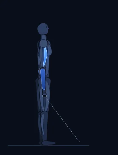 Reverse Cable Curl, start position, with the working muscles highlighted