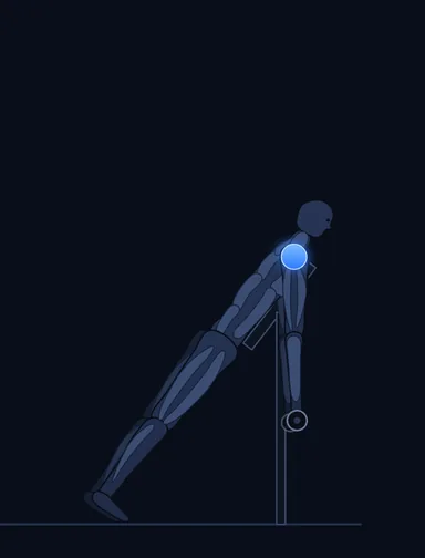 Reverse Flyes, start position, with the working muscles highlighted