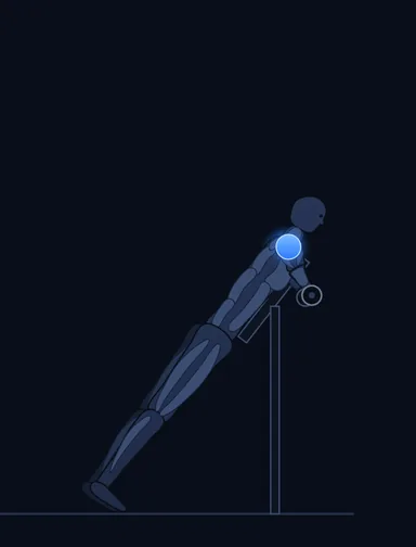 Reverse Flyes, finish position, with the working muscles highlighted
