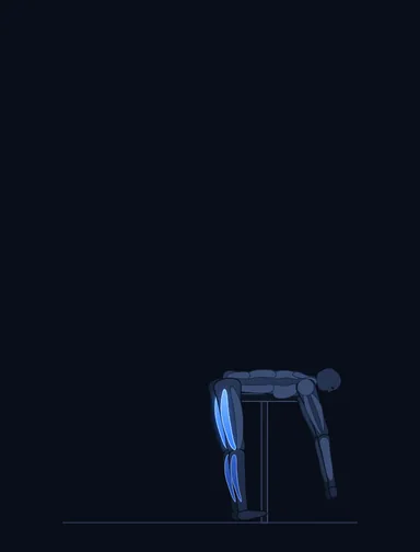 Reverse Hyperextension, start position, with the working muscles highlighted