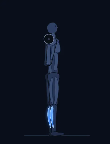 Rocking Standing Calf Raise, start position, with the working muscles highlighted
