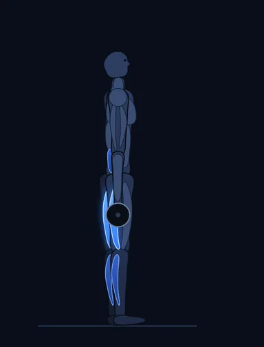 Romanian Deadlift, start position, with the working muscles highlighted
