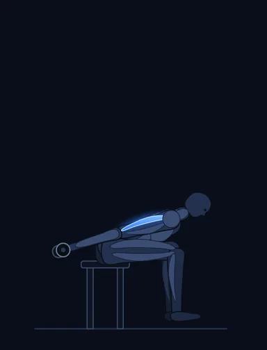 Seated Bent-Over Two-Arm Dumbbell Triceps Extension, finish position, with the working muscles highlighted