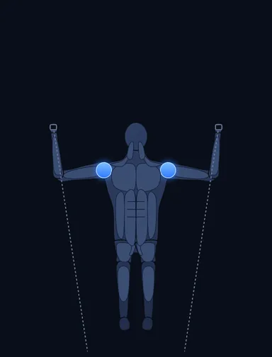 Seated Cable Shoulder Press, start position, with the working muscles highlighted