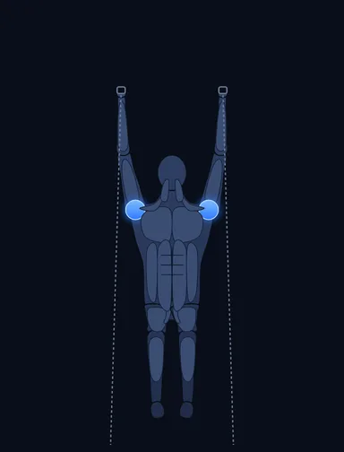 Seated Cable Shoulder Press, finish position, with the working muscles highlighted