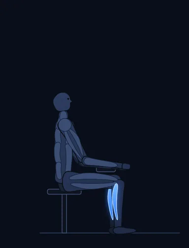 Seated Calf Raise, start position, with the working muscles highlighted