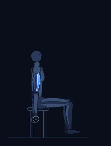 Seated Dumbbell Curl, start position, with the working muscles highlighted