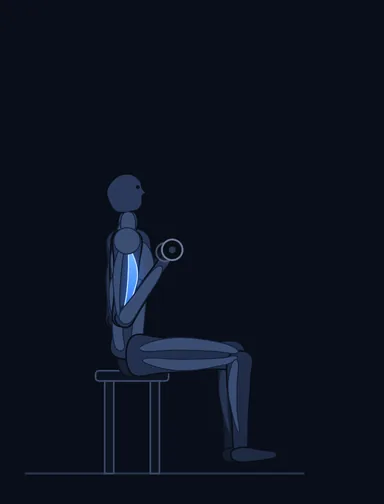 Seated Dumbbell Inner Biceps Curl, finish position, with the working muscles highlighted