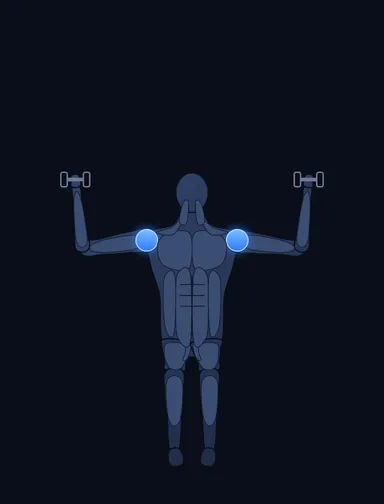 Seated Dumbbell Press, start position, with the working muscles highlighted