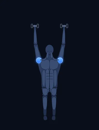 Seated Dumbbell Press, finish position, with the working muscles highlighted