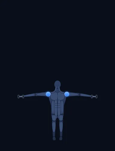 Seated Side Lateral Raise, finish position, with the working muscles highlighted