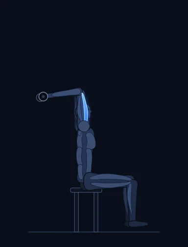 Seated Triceps Press, start position, with the working muscles highlighted