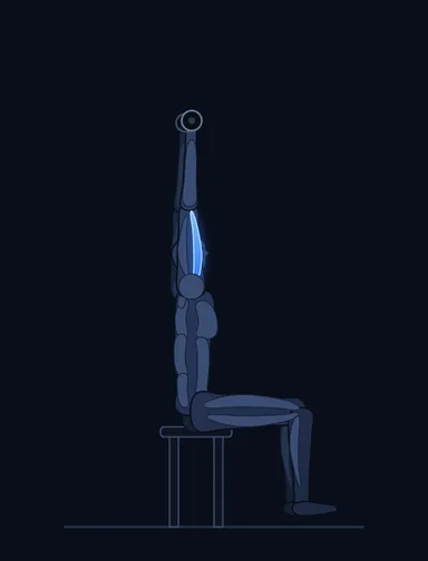 Seated Triceps Press, finish position, with the working muscles highlighted