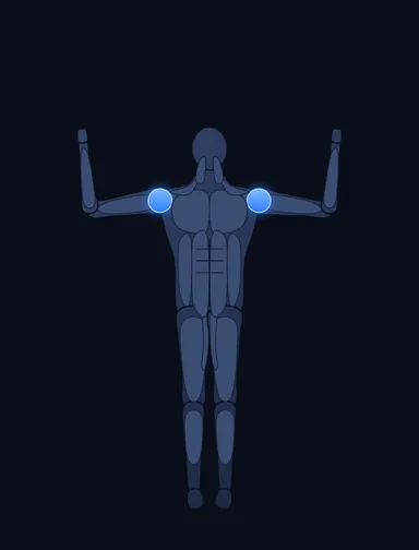 Shoulder Press - With Bands, start position, with the working muscles highlighted