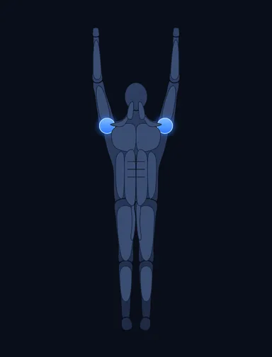 Shoulder Press - With Bands, finish position, with the working muscles highlighted
