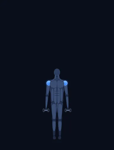 Side Lateral Raise, start position, with the working muscles highlighted